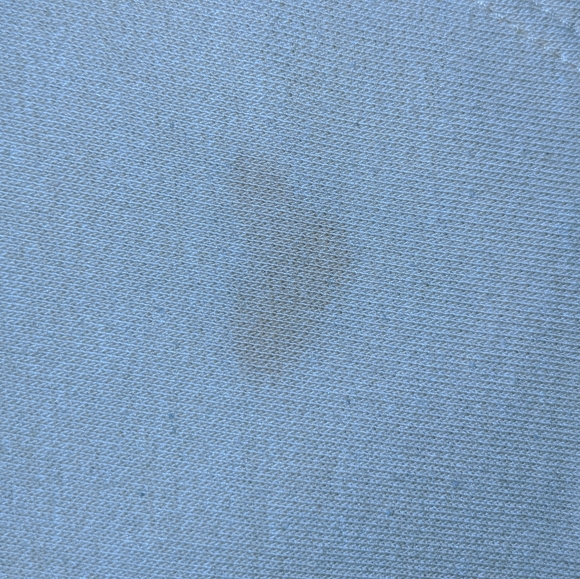 Yellow jacket - Picture 2 of 5